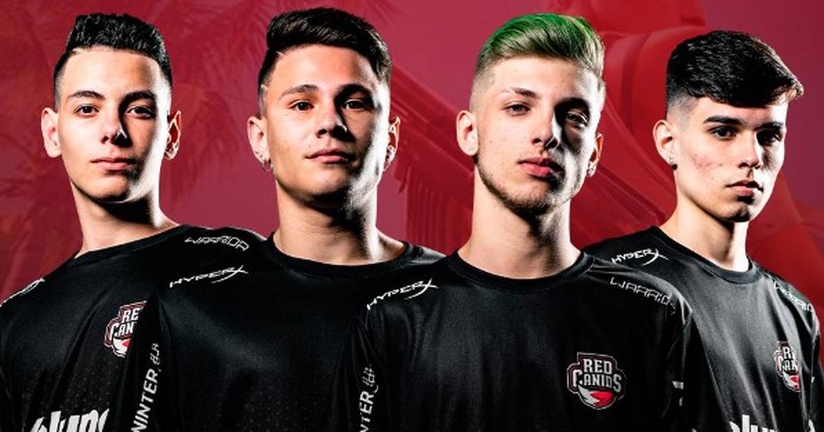 Free Fire Pro League 2019: conheça line up da RED Canids, finalista da S3