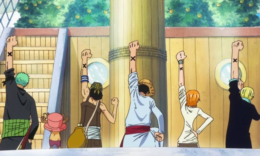 One Piece: Como assistir ao anime em ordem cronológica?