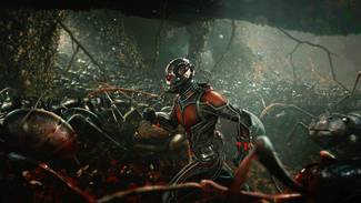 Homem-Formiga: Michelle Pfeiffer e Michael Douglas comentam papéis no  terceiro filme da franquia 