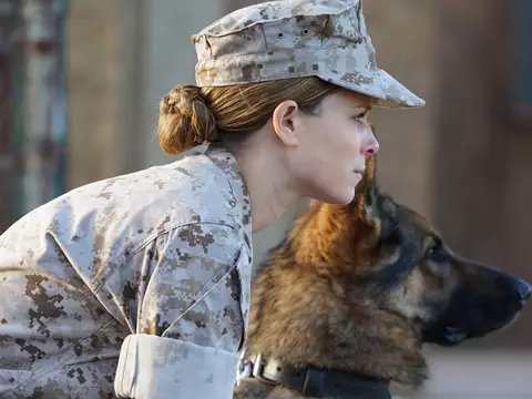 Cena de Megan Leavey (Divulgação)