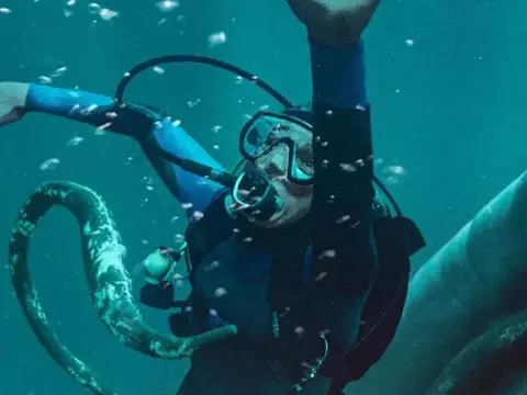 La caída de la ballena | Trailer de nuestra nueva pesadilla en el mar