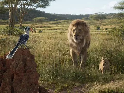 Foto de O Rei Leão/Disney/Divulgação