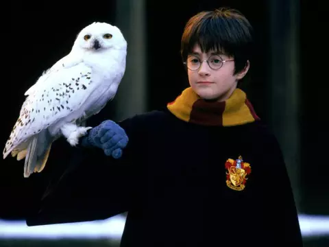 Harry Potter | Série tem "muita pressão, mas é especial", diz executiva da HBO