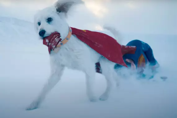 Supergirl ganha pôster fofíssimo com Krypto filhote; veja