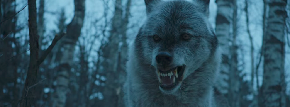 Game Of Thrones | Série derivada terá Starks e lobos gigantes