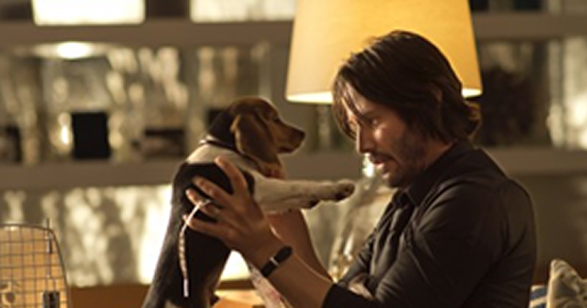 Já assistiu John Wick 4? Sequência estrelada por Keanu Reeves