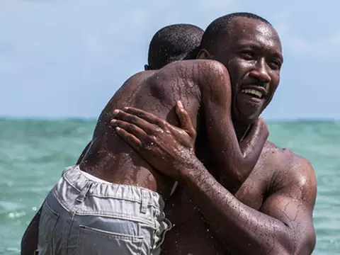 A importância da vitória de Moonlight