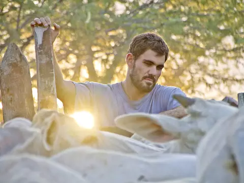 Sesc anuncia programação de abril com Boi Neon, curso sobre Federico Fellini e mais