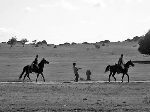 Aferim! | Crítica