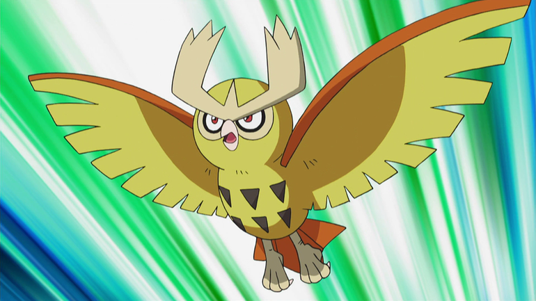 noctowl