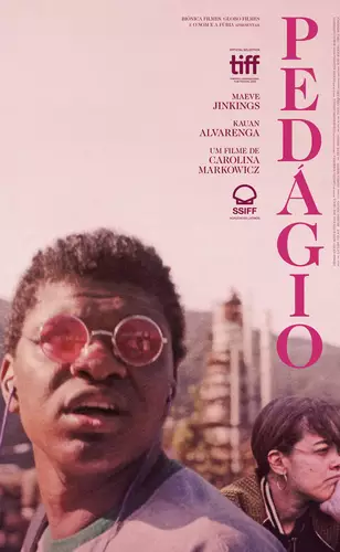 Pedágio escancara com sutileza as multidões do Brasil