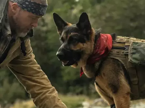 El corazón de la bestia | ¿Muere el perro en la película de Brad Pitt? Esto sucede