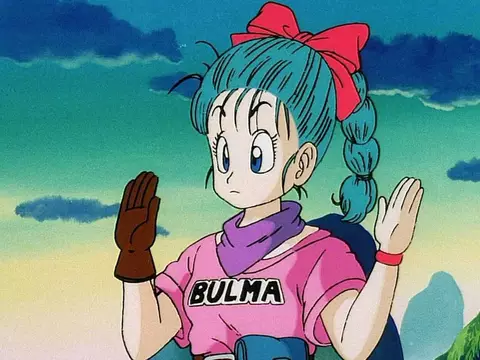 Bulma