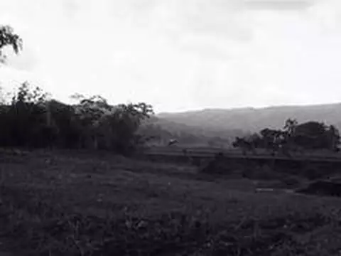 Do Que Vem Antes | Trailer legendado