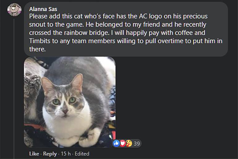 Captura de tela de pedido de fã a Ubisoft para a inclusão de gato da vida real em Assassin's Creed Mirage