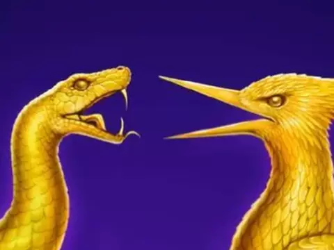 Jogos Vorazes: Amanhecer na Colheita | Fã que fará parte do filme é revelado