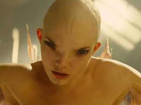 Cena de Splice - A Nova Espécie (Reprodução)