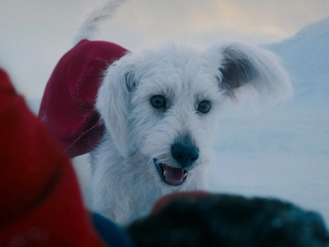Superman: Krypto Caça o Abominável Homem das Neves no Novo Filme do DCU