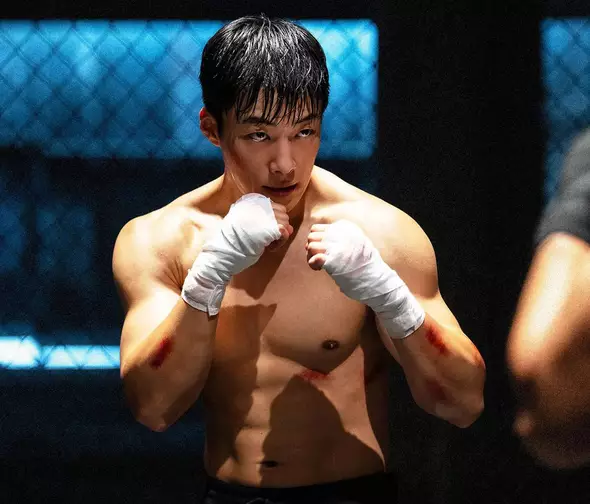 Cães de Caça (Reprodução)