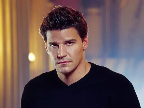 Angel | David Boreanaz diz que derivado de Buffy ainda é subestimado