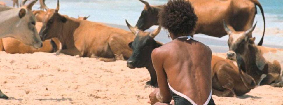 O Riso e a Faca | Produção brasileira que vai a Cannes ganha imagens