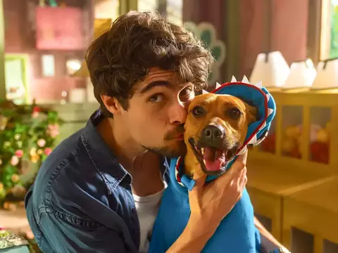 Caramelo | Netflix lança campanha de adoção de cães