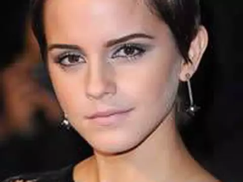  Your Voice In My Head | Filme deve reunir Emma Watson e David Yates