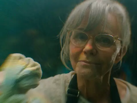 Criaturas Extraordinariamente Brilhantes | Filme sobre polvo ganha teaser