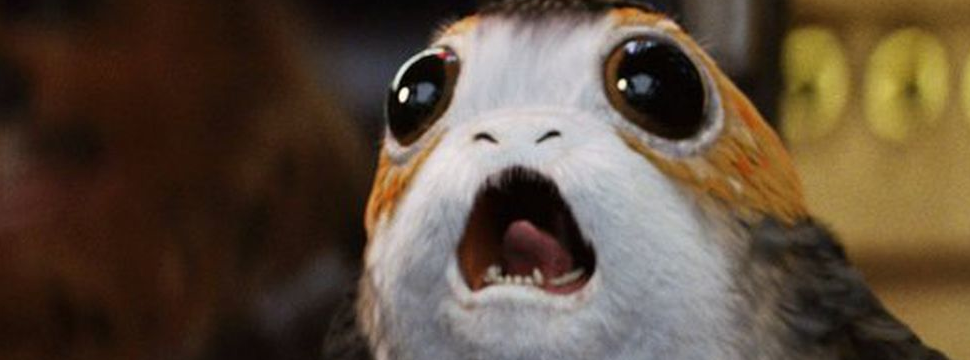 9 espécies animais com nomes inspirados em Star Wars