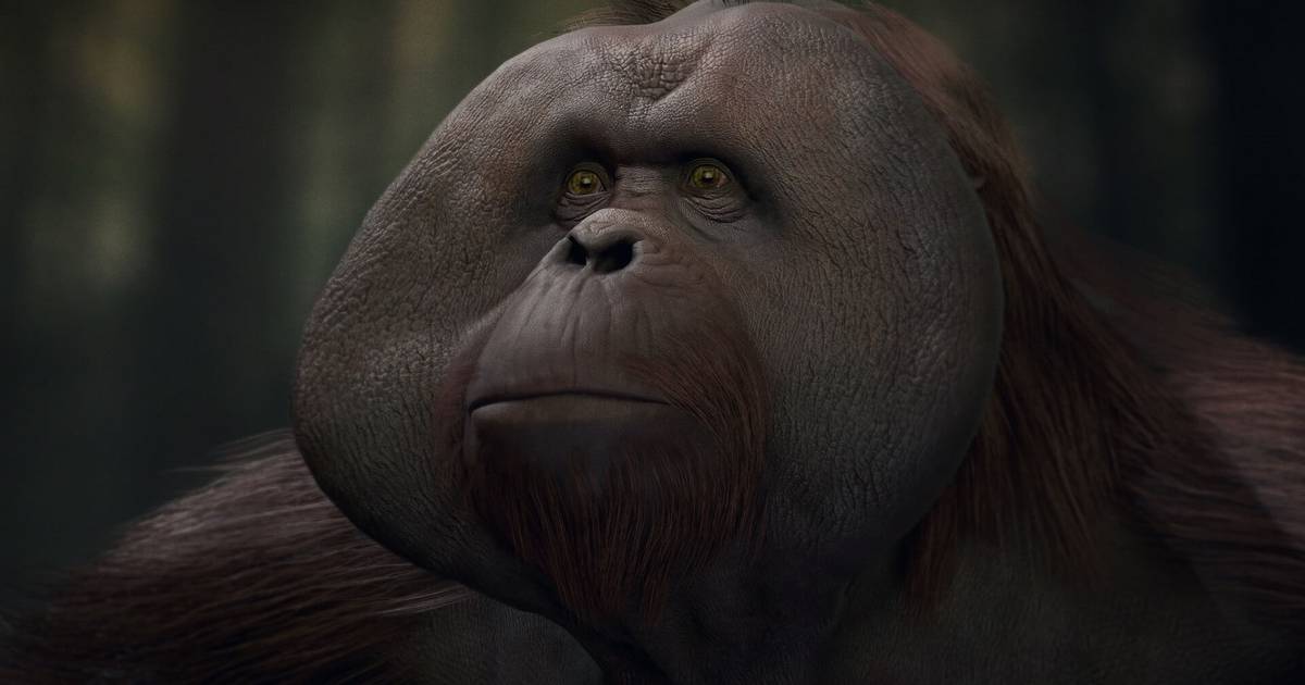 Planeta dos Macacos: A Última Fronteira é anunciado para PC, Xbox
