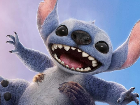 Stitch