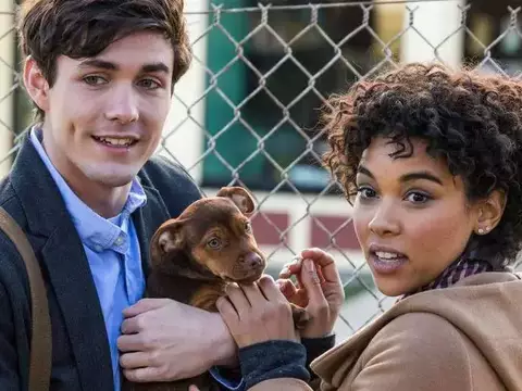 Sessão da Tarde: O que passa na Globo hoje? (17/10)