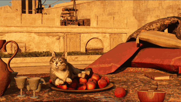 Assassin's Creed Mirage Features a Cat With an Assassin's Creed