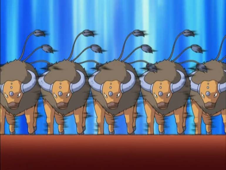 tauros