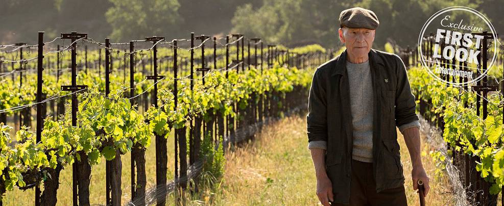 Star Trek: Picard/EW/Divulgação Star Trek: Picard | Segunda temporada já está em desenvolvimento