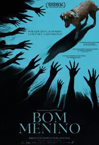 Bom Menino terror cachorro
