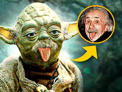 Montagem com Yoda e Einstein/Omelete/Reprodução