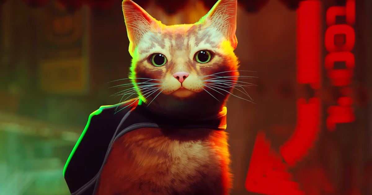 Blinx: o lançamento do Stray pode abrir caminho para o retorno do gato  favorito do Xbox - Windows Club