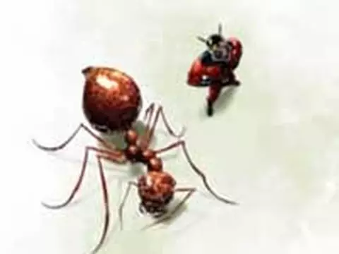 John Lasseter nega rumores sobre filme do Homem-Formiga