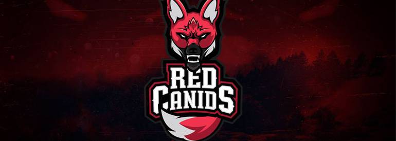 Campeonato Brasileiro de League of Legends Red Canids Counter-Strike:  Global Offensive Brazilian Challenger Circuit, League of Legends  transparent background PNG clipart