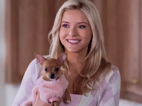 Elle | ¿Dónde ha salido antes la protagonista Lexi Minetree? Entérate
