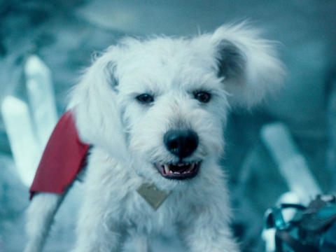 Superman | Veja cinco curiosidades sobre Krypto, o super-cão