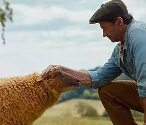 Las ovejas detectives | Hugh Jackman lloró al ver la película