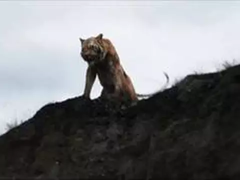 Mogli - O Menino Lobo | Trailer legendado 2