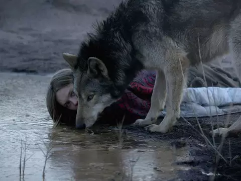 Wild | Crítica
