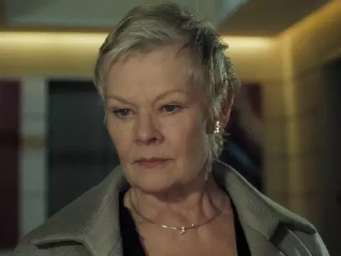 Judi Dench revela que não tem projetos a caminho e pode estar se aposentando