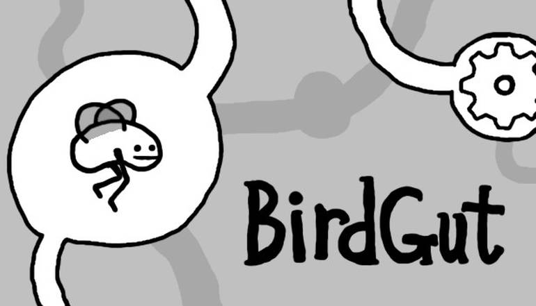 BirdGut