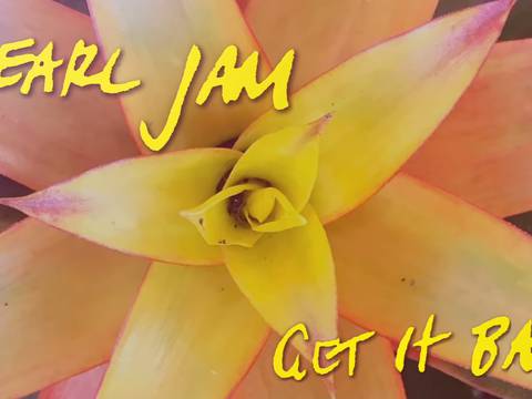 Divulgação/Pearl Jam