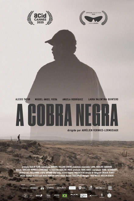 Pôster oficial de A Cobra Negra