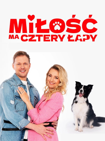 Pôster oficial de Miłość ma cztery łapy